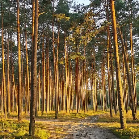 Βίλα Lustro Wody Osiek (Pomerania)