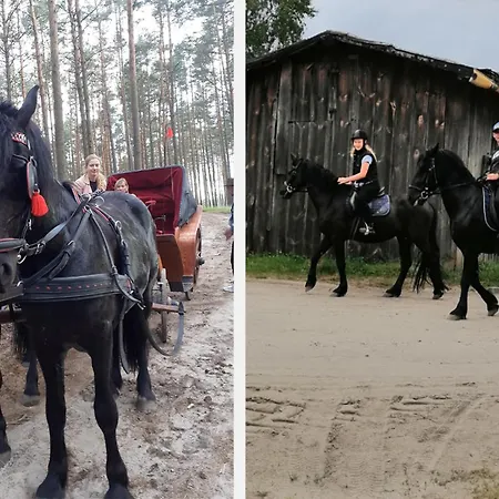 Lustro Wody Osiek (Pomerania)