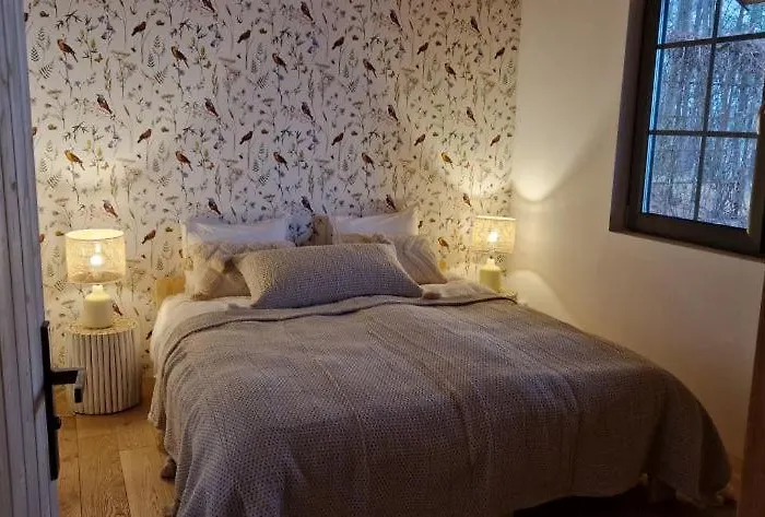 Lustro Wody * Osiek (Pomerania)