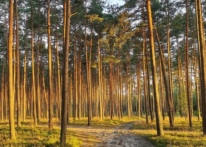 Vila Lustro Wody Osiek (Pomerania)