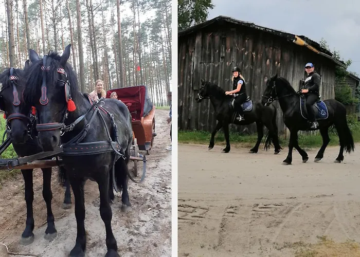 Lustro Wody Osiek (Pomerania)